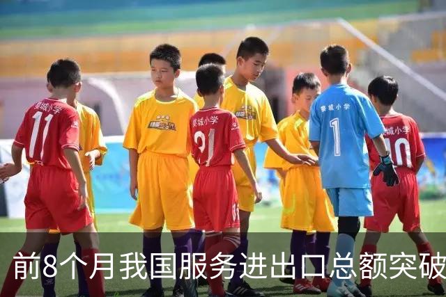前8个月我国服务进出口总额突破5万亿元 服务贸易逆差收窄