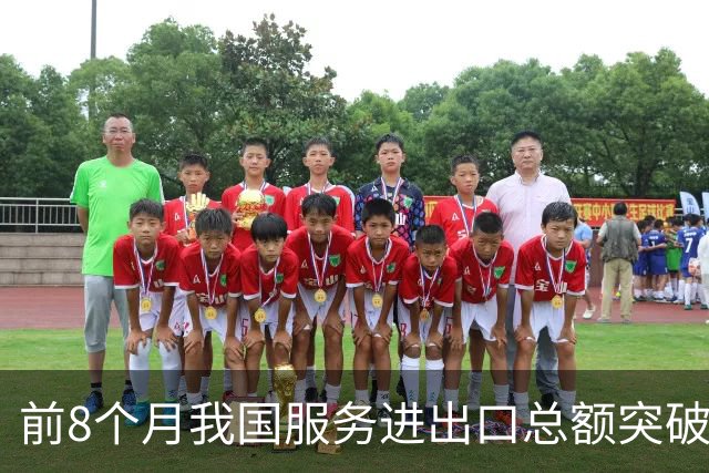 前8个月我国服务进出口总额突破5万亿元 服务贸易逆差收窄