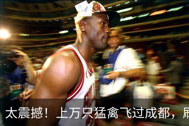 太震撼！上万只猛禽飞过成都，刷新本地纪录