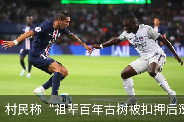 村民称“祖辈百年古树被扣押后遭转赠”，官方通报