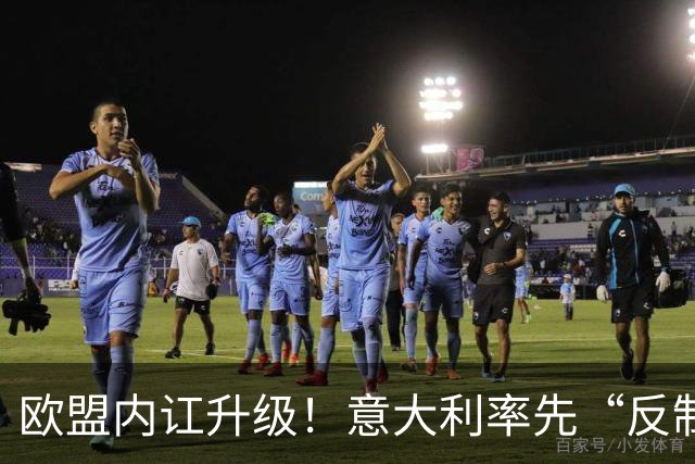 欧盟内讧升级！意大利率先“反制”，冯德莱恩干预欧盟外交 ！