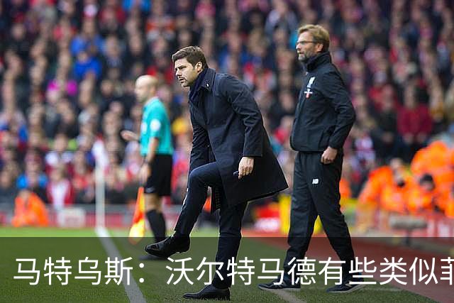 马特乌斯：沃尔特马德有些类似菲尔克鲁格，他应该回德国足坛踢球